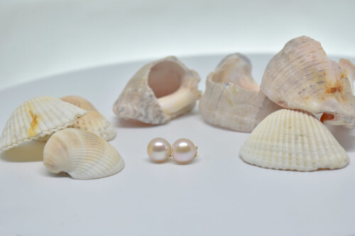 14 Carat Gold Natural Pearl Earring AH-0058 - 1